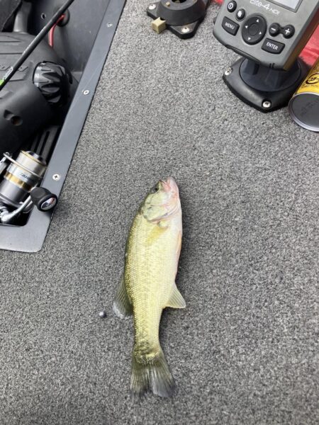 ひさびさの琵琶湖