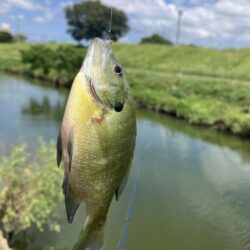夏休み釣行2日目