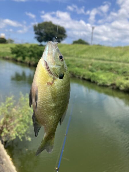 夏休み釣行2日目