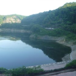 夏のブラックバス