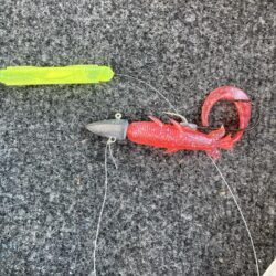 朝マズメの太刀魚調査