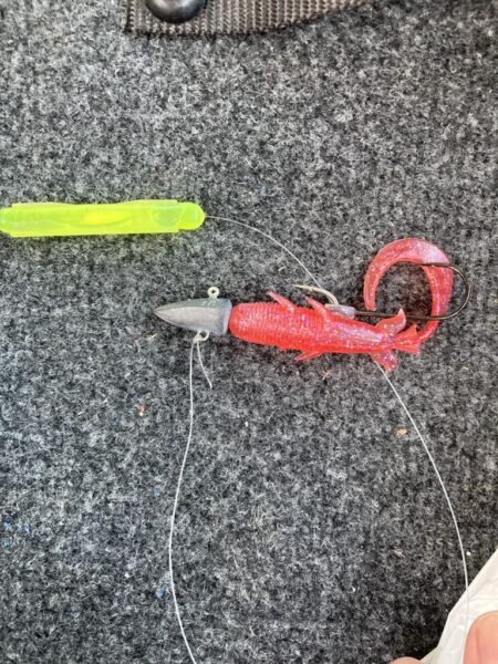 朝マズメの太刀魚調査