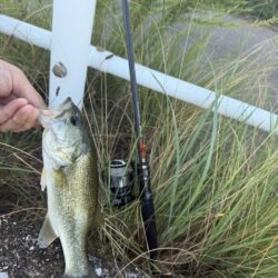 よく釣れたよ😁