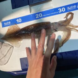 スルメタル