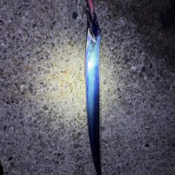 魚種がふえました