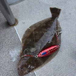 舞鶴沖スロージギング