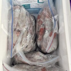 リベンジ成功？