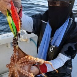 タコ釣り！