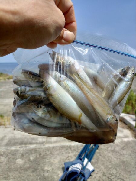 三重釣行4