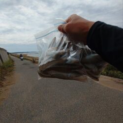 早朝釣行