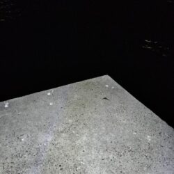 怪魚ハンター【クロアナゴ狙い】