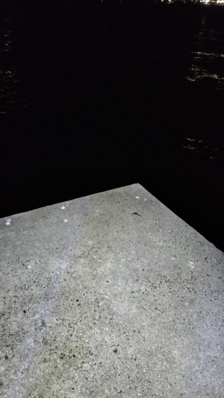 怪魚ハンター【クロアナゴ狙い】