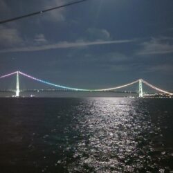電気ウキ釣り 18