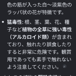 お盆の朝活
