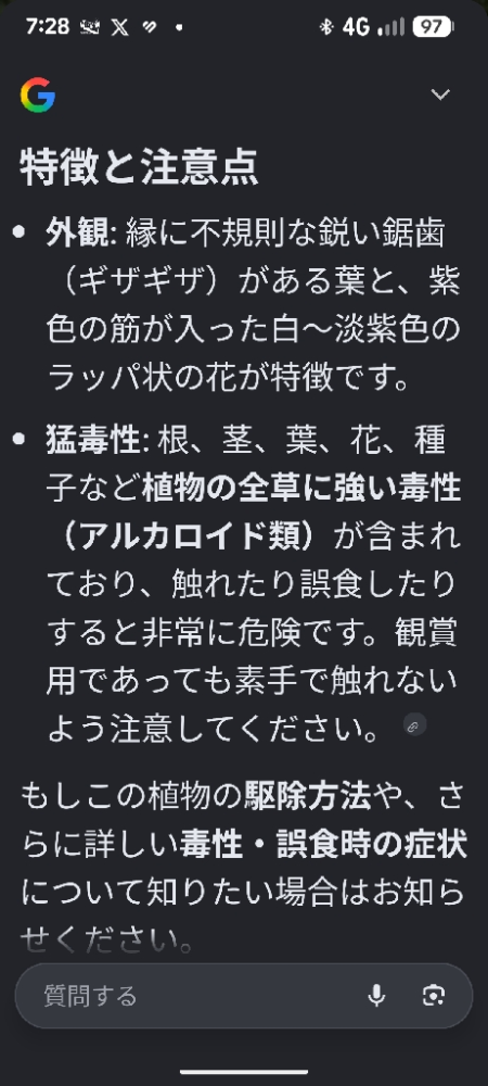 お盆の朝活