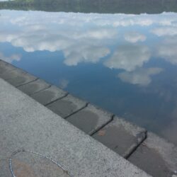 いつもの鯉釣り
