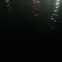 アジング19