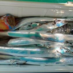 泉州丸　釣果
