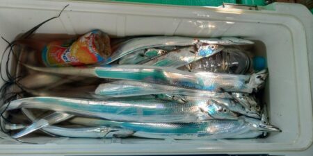泉州丸　釣果