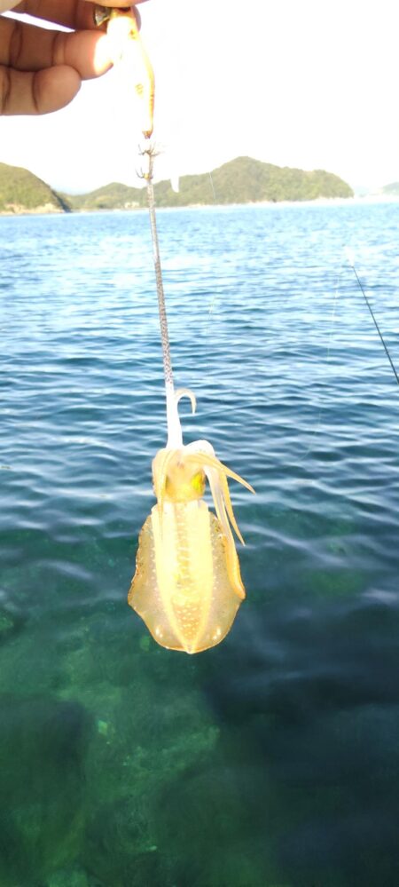 久々の釣り
