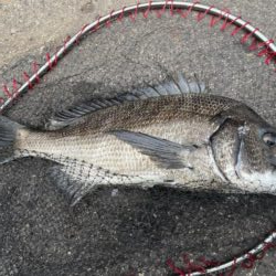 イチノ兄弟、釣果！