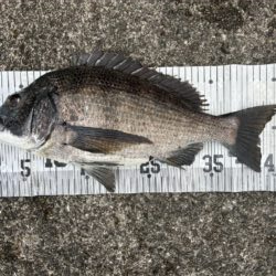イチノ兄弟、釣果！