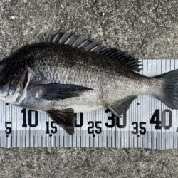 イチノ兄弟、釣果！
