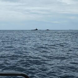 和歌山大引の磯でクエ釣り