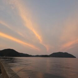 数釣り