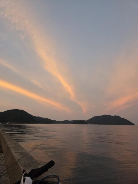 数釣り