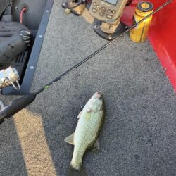 ひさびさの琵琶湖