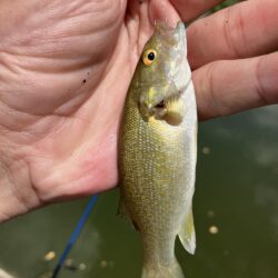 夏休み釣行2日目