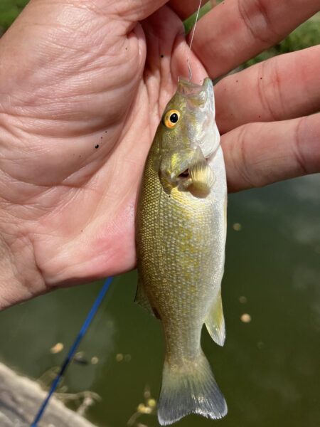 夏休み釣行2日目