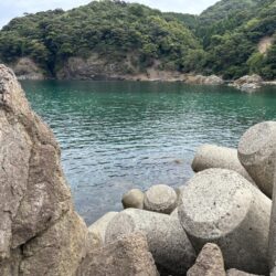 なんなんこの魚??