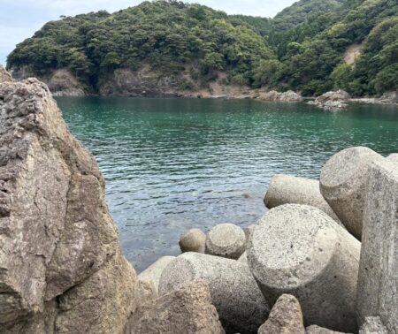 なんなんこの魚??
