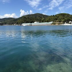 久々の釣り キス狙い