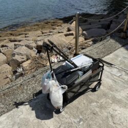 シロギス釣り🎣