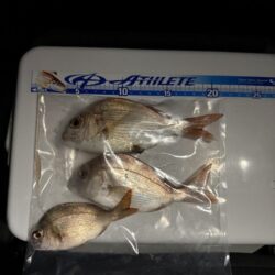 太刀魚釣り
