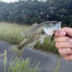 よく釣れたよ😁