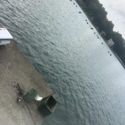 穴水町フカセ釣り