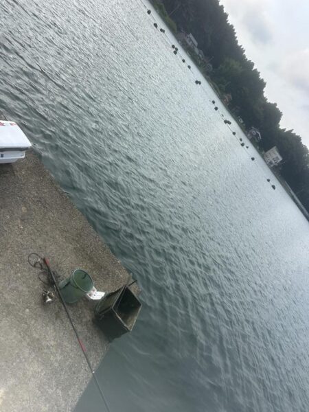 穴水町フカセ釣り