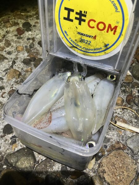ケンサキ🦑開幕！(^^)