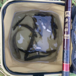 過ぎ行く夏を満喫！高萩市河川アユイング
