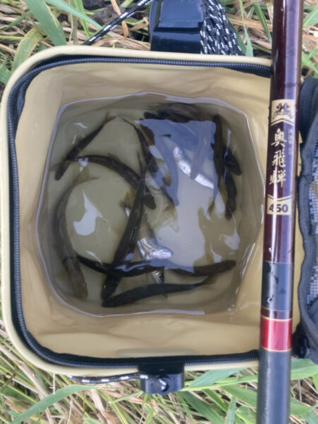 過ぎ行く夏を満喫！高萩市河川アユイング