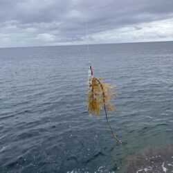 京丹後ライトロックショアジギング。水潮。。