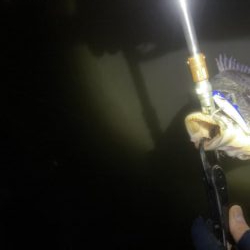 本降りになる前の一本❗️