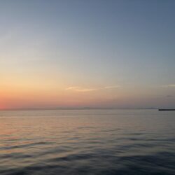 今シーズン初太刀魚&カマス