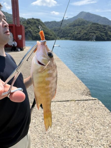 エギング釣査