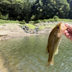 インレット‼︎