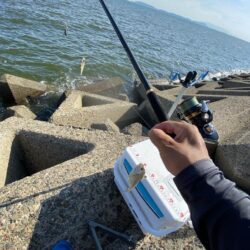 ミニキス連発、ねばりのシロギスタ